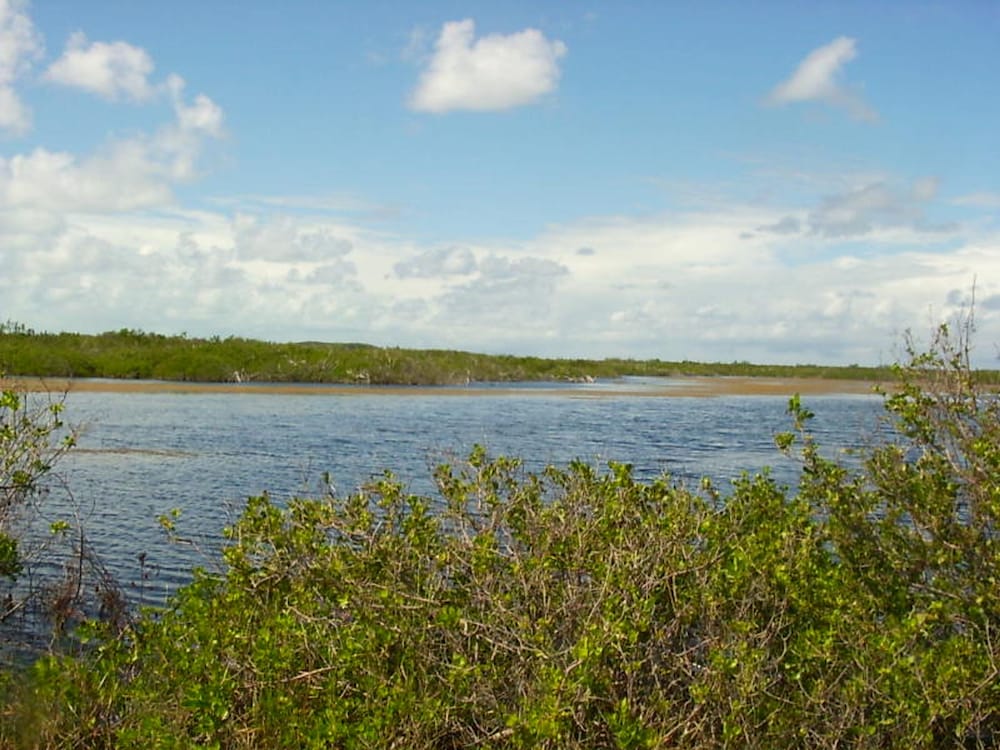 Buttonwood Reserve 2C