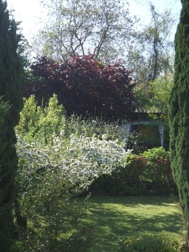 La Rose Tremiere