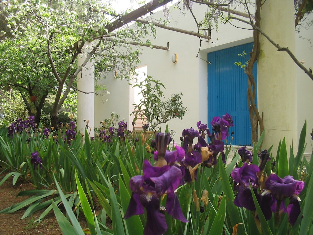 Photo 13