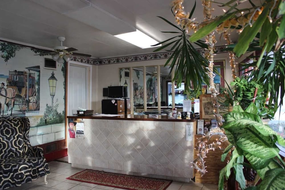 Thunderbird Motel view 2
