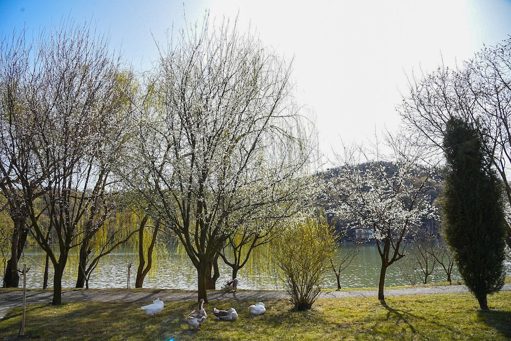 Lopota Lake Resort & Spa
