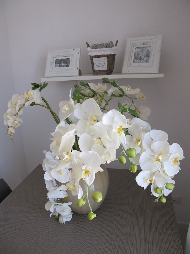 Guest House Suite Olbia