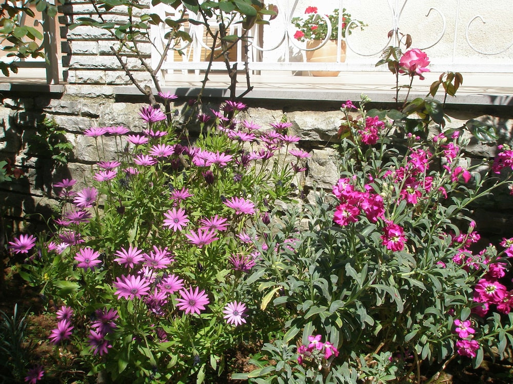 Photo 26
