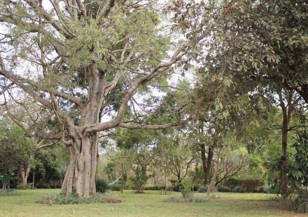 Barefoot Lodge and Safaris - Malawi - Campsite