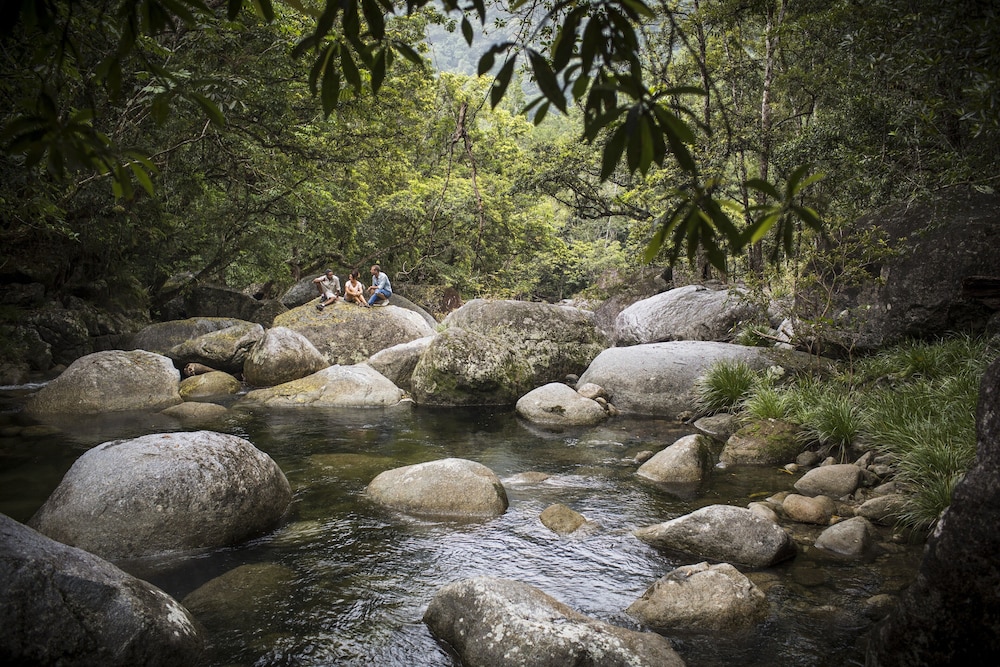 Photo 40