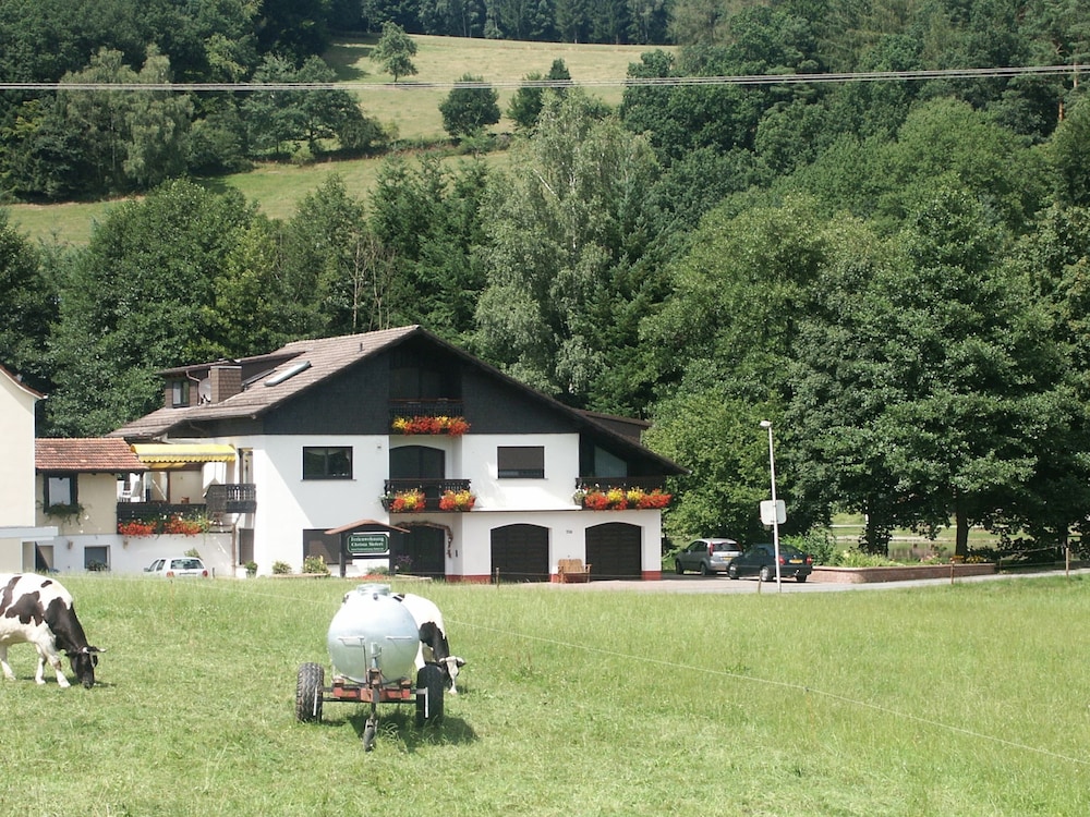 Photo 21