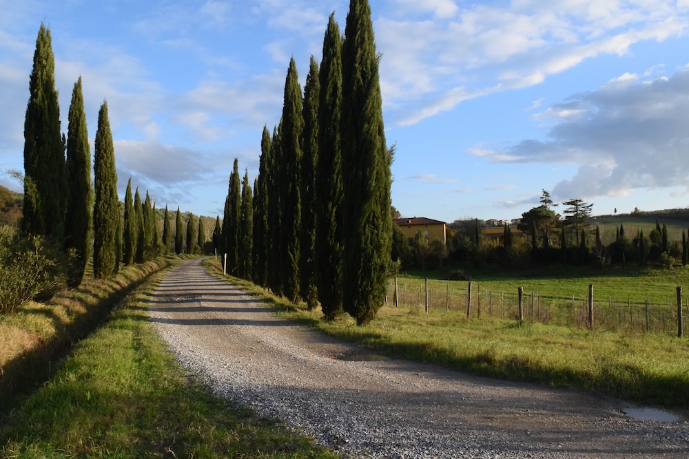 Tenuta Le Colonie