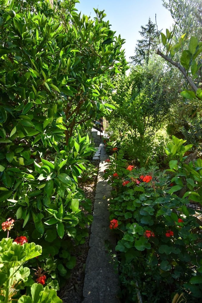 Frane - With Garden - A2 view 4