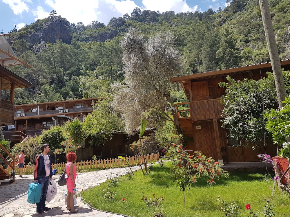 Turkmen Tree Houses