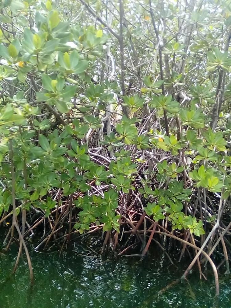 Mahun on the Lagoon Bungalows