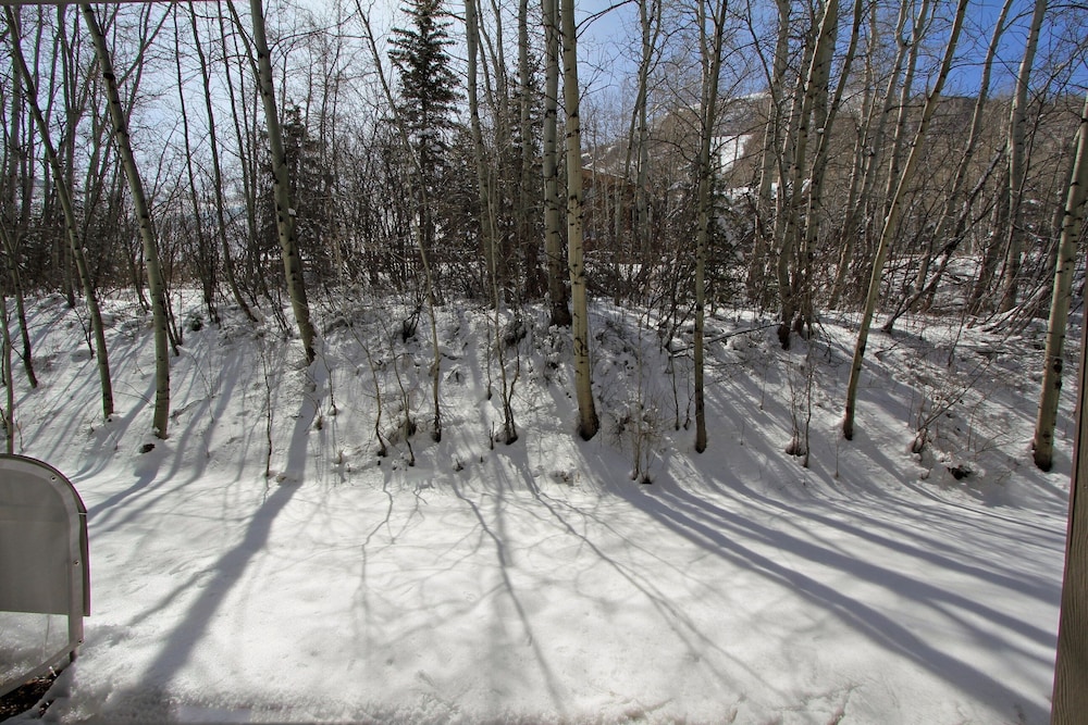 Snow Flower Condos - Park City Ski Resort UT