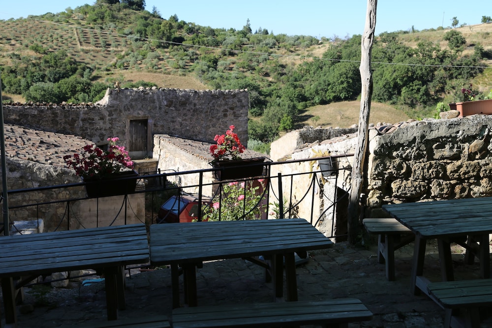 Photo 49