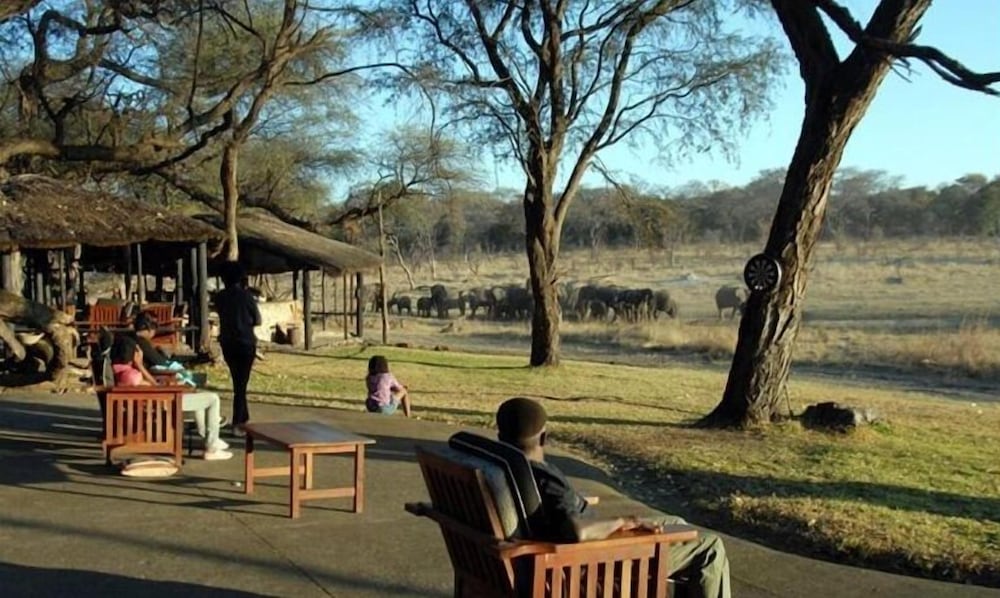 The Tree Lodge at Sikumi