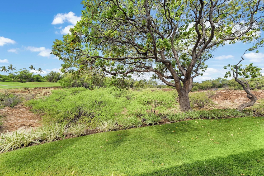 Golf Course View - Conveniently Located - Vrkcv