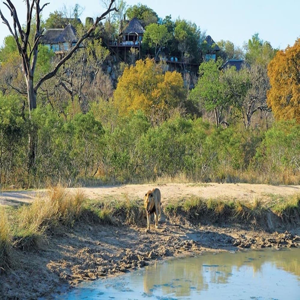 Leopard Hills