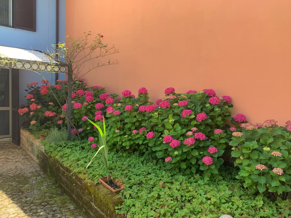 La Casa Celeste