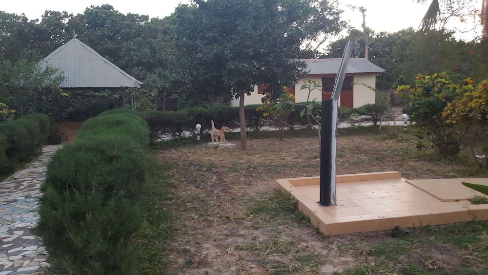 Photo 17