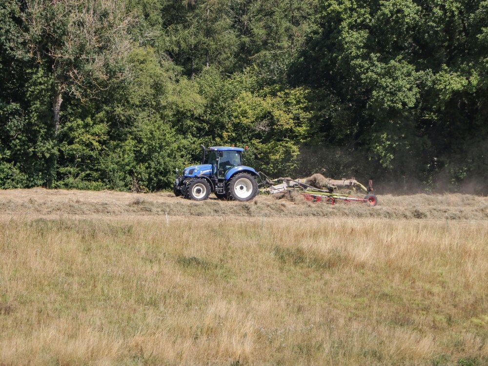 Steel Works Farm