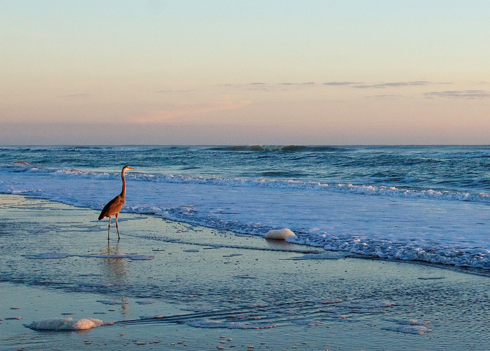 Club Sea Oats