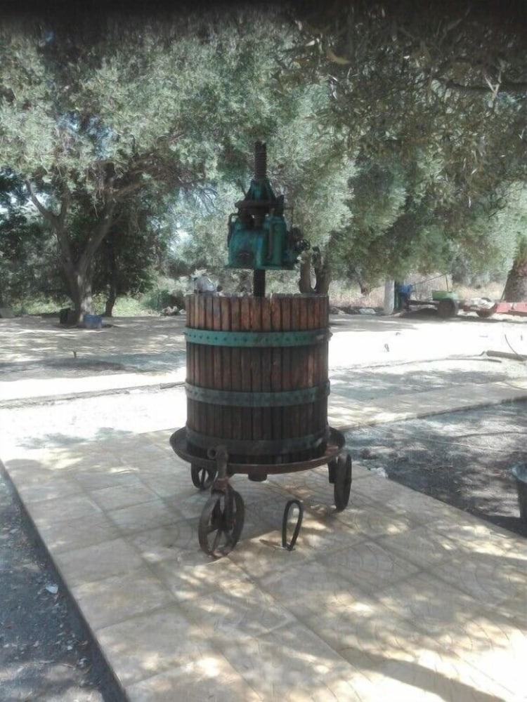 Photo 43