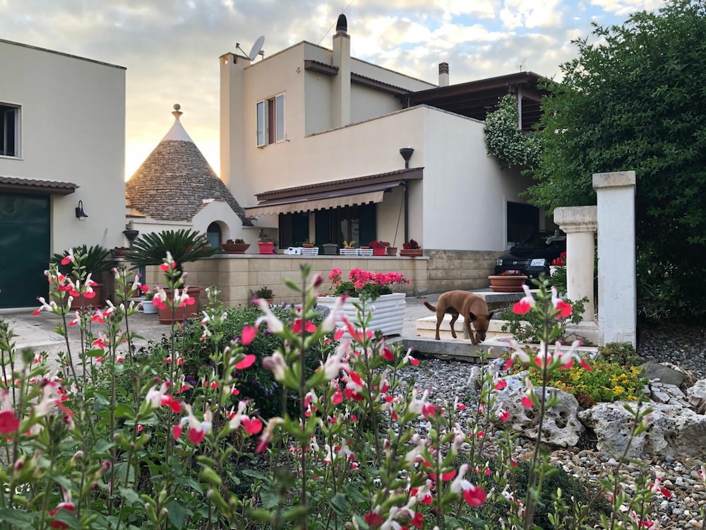 B&B Delle Rondini