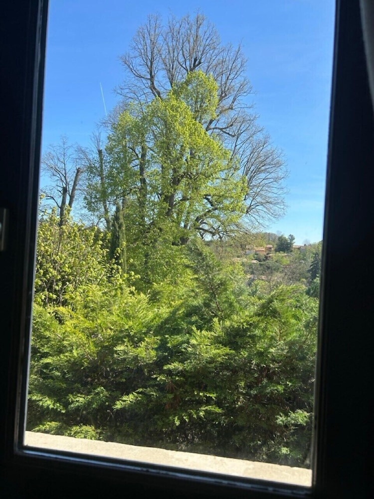 La Rose du petit Bois, photo 38