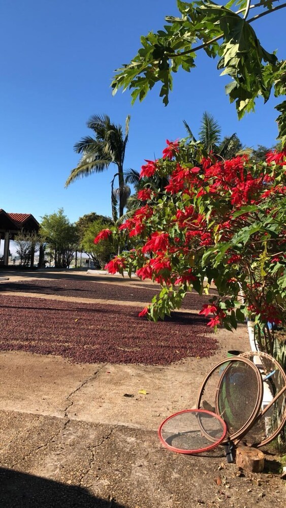 Pousada Lambari Montanha Hotel