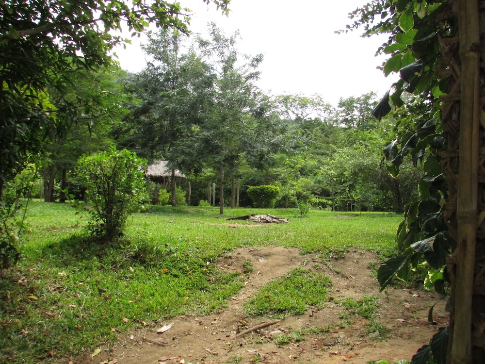 Udzungwa Forest Camp