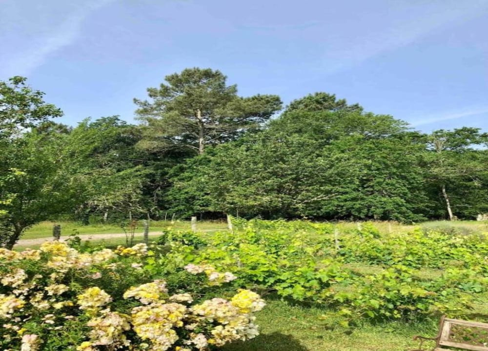 Oakwood Hideaway Stay