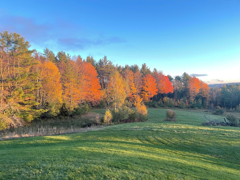 other