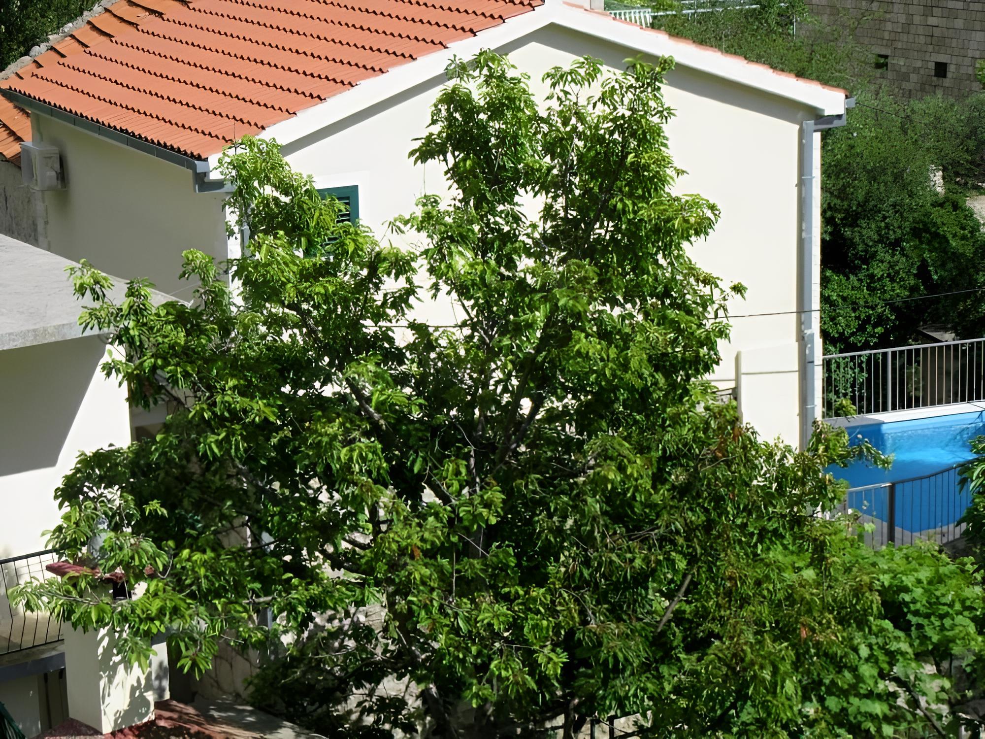Photo 27
