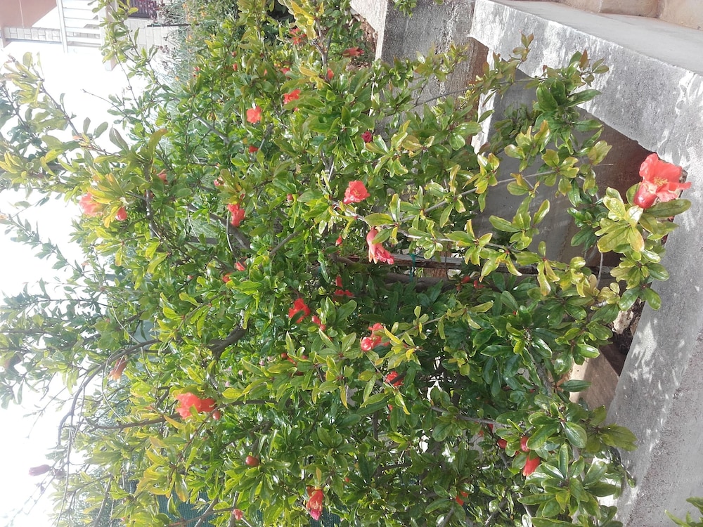 Photo 28