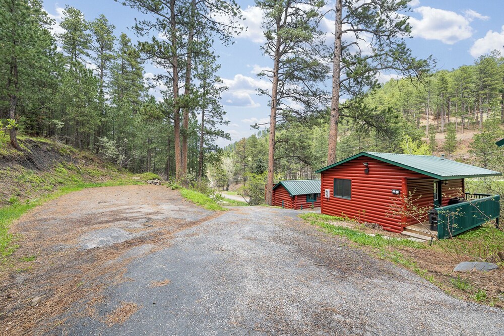 Ponderosa Pines