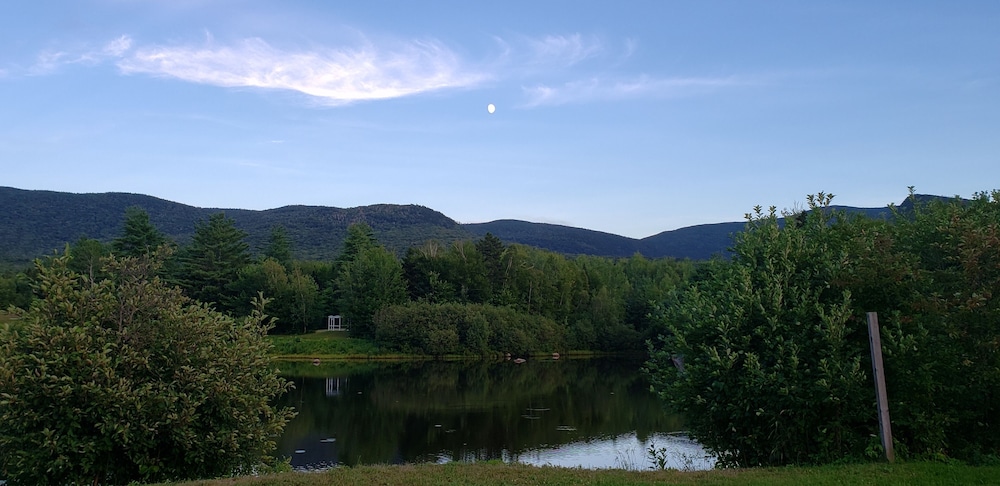 Black Bear Lodge