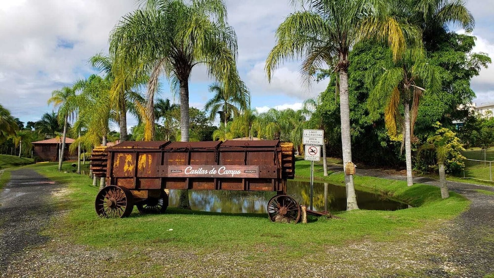 Hacienda El Jibarito