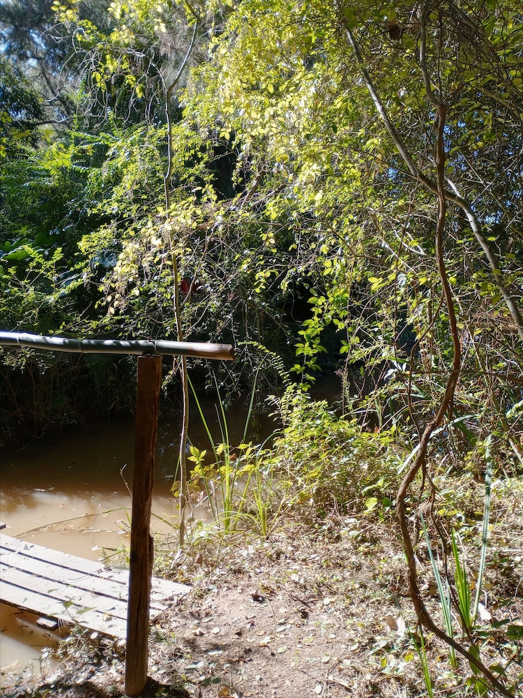 Cabaña del humedal
