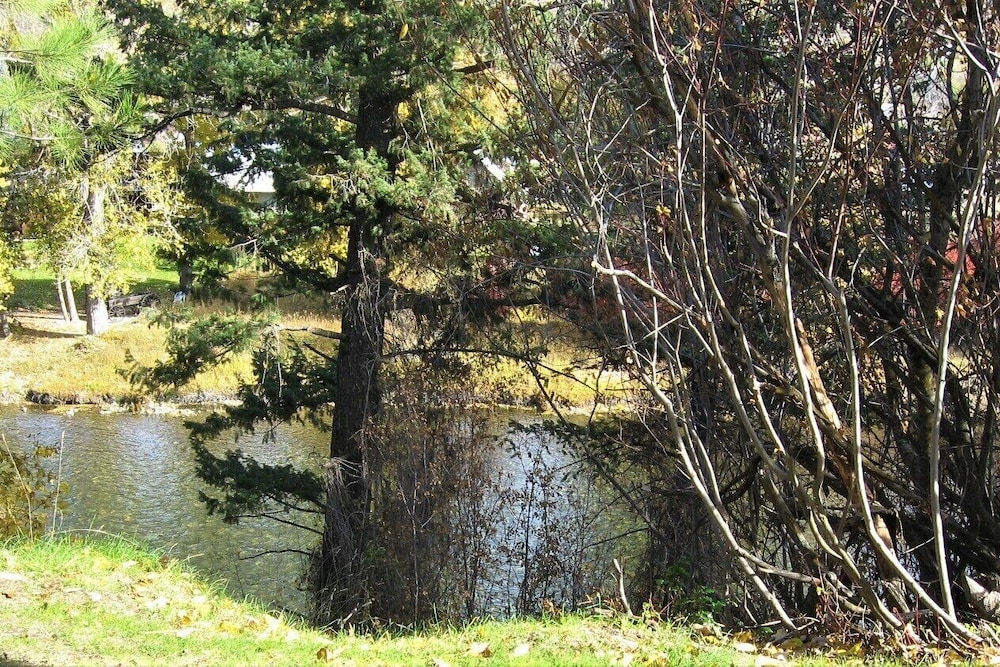 Virginian Resort