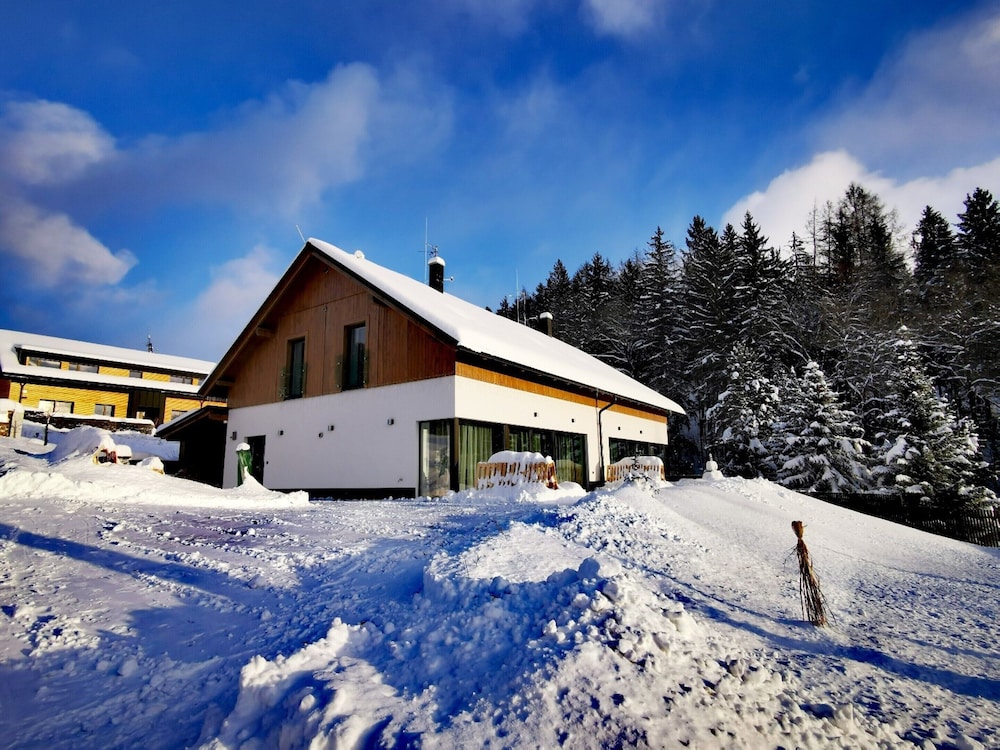 Villa in Krkonose With Sauna and Forest Views