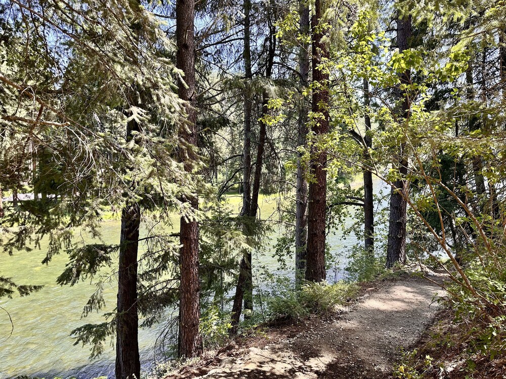River Song Cabin 3 Bedroom Home