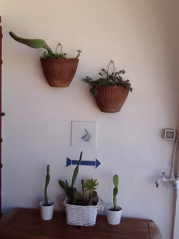 Villa Elisa B&B, photo 62