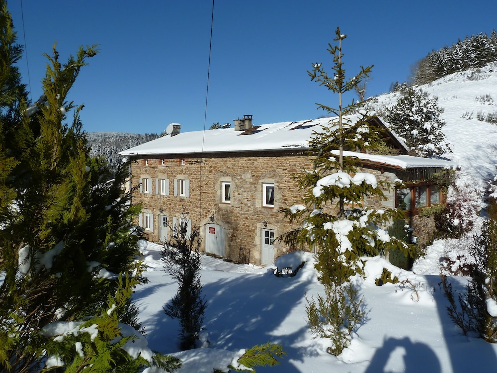 Photo 41