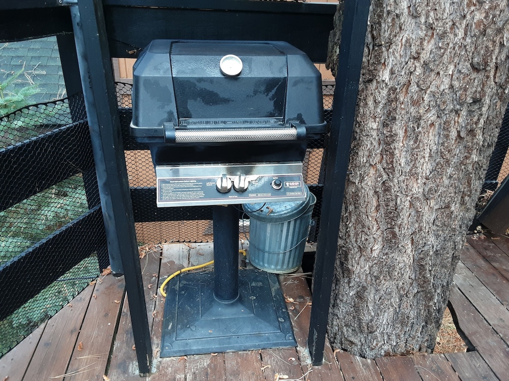 Big Bear Lake Vacations - Bear Mountain Summit - Property Image 5