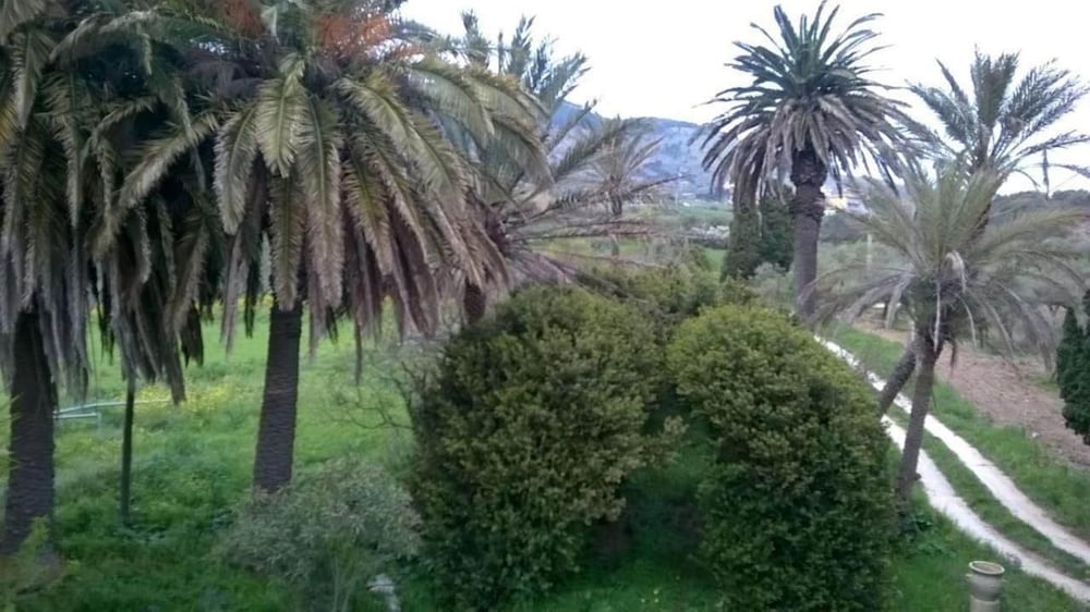 Photo 36