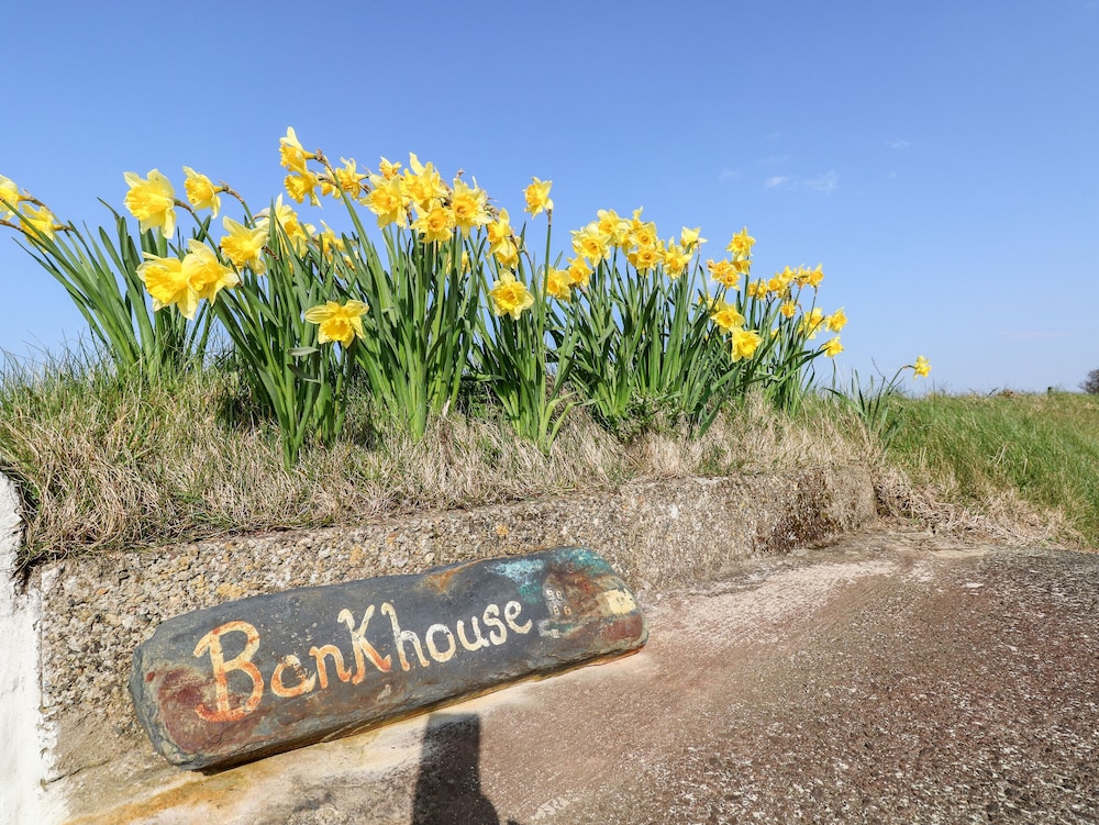 Bank House Farm