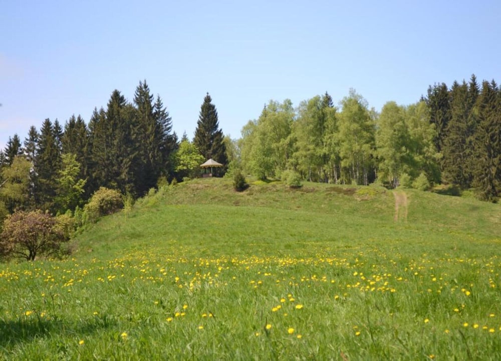 Charmantes Refugium, Harz