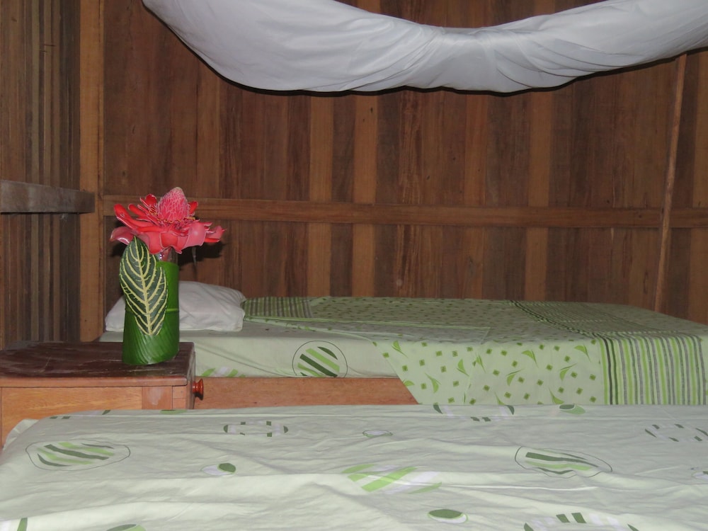 Tambopata Guest House view 4