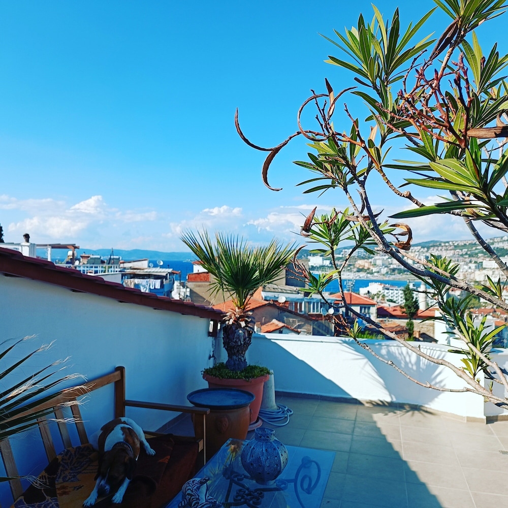 roof