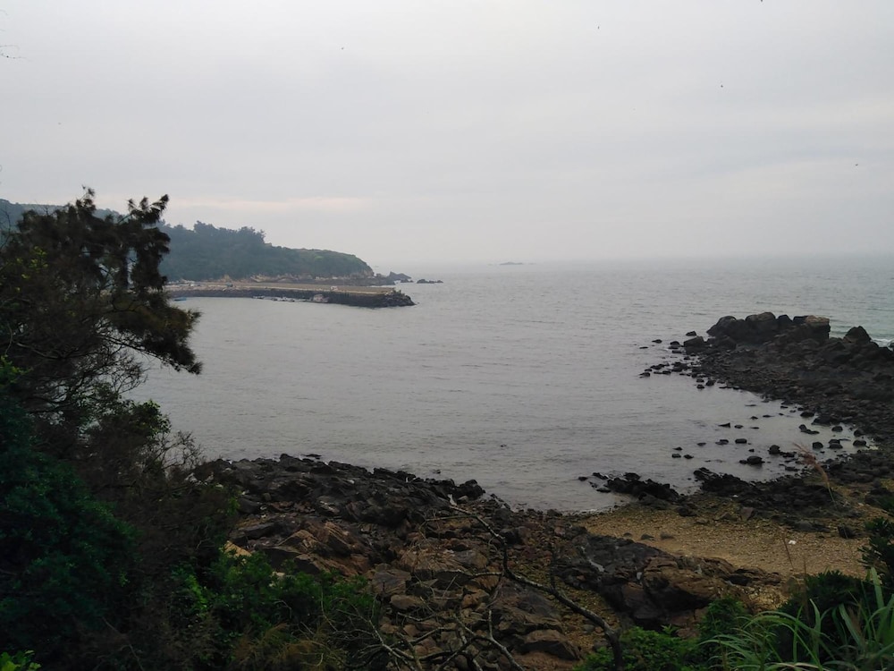 Photo 41
