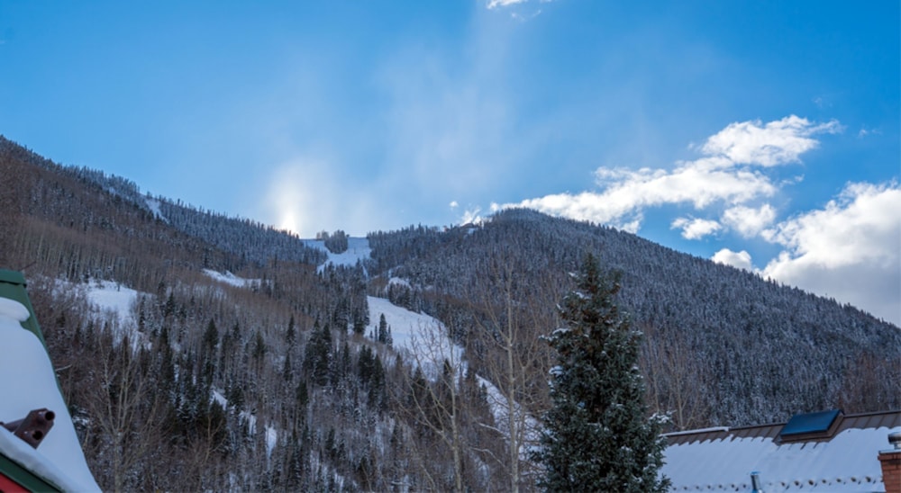 Hruza Hideout by Avantstay Quiet Apartment in Telluride s Historic District Permit 16094