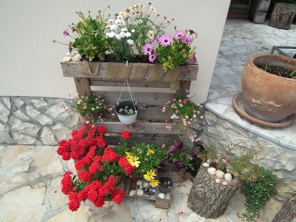 Photo 48